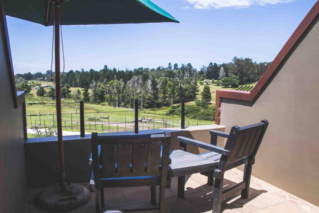 Knysna Elephant Park Lodge Plettenberg Bay Kültér fotó