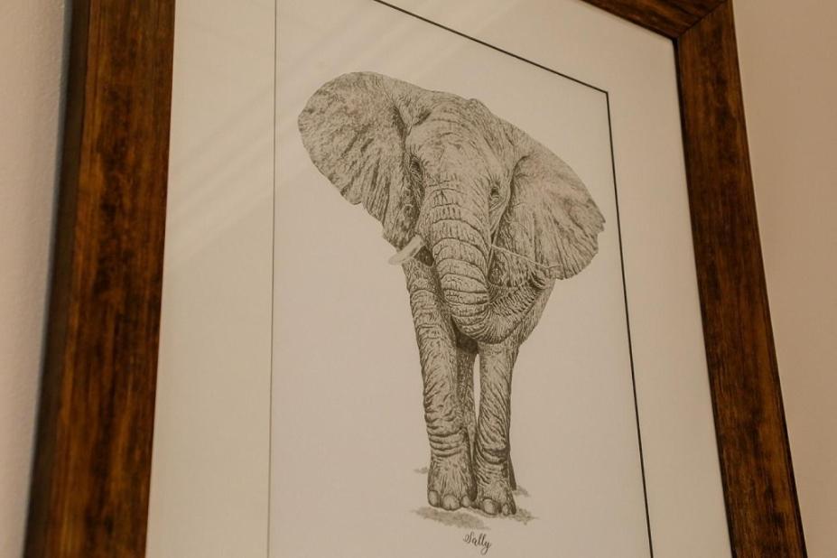 Knysna Elephant Park Lodge Plettenberg Bay Kültér fotó