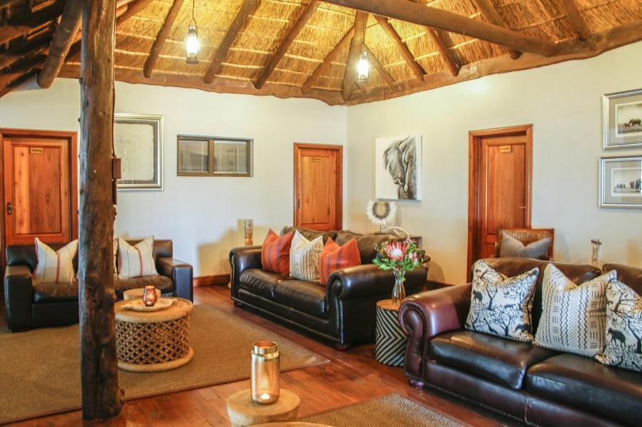 Knysna Elephant Park Lodge Plettenberg Bay Kültér fotó