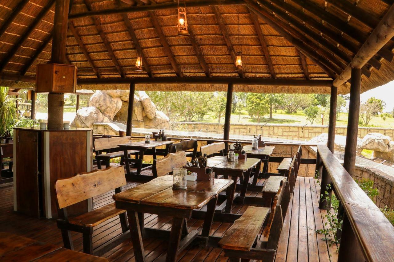 Knysna Elephant Park Lodge Plettenberg Bay Kültér fotó